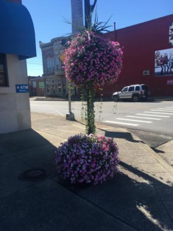 Town Flowers 